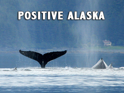Positive Alaska - Positive Thinking Network - Positive Thinking Doctor - David J. Abbott M.D.